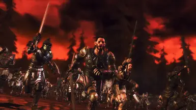 For Ferelden, for the Grey Wardens