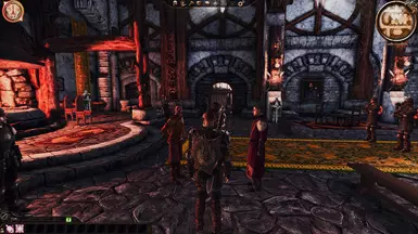 Cousland Guard Shield