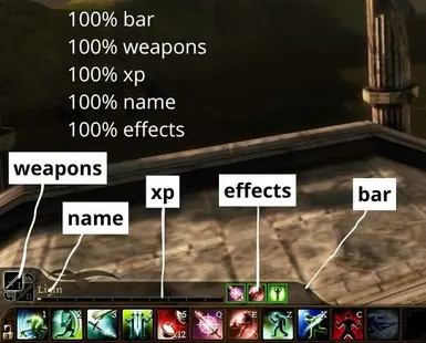 Guide