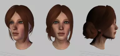 DLC Leliana in Toolset