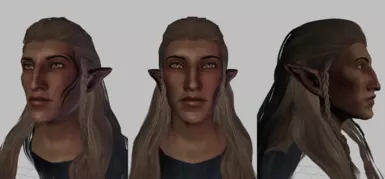 Zevran in Toolset