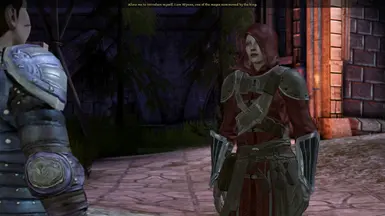 Wynne's Battledress