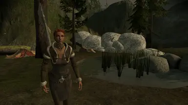 Fereldan Mage Robe