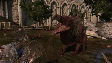 DAI Vulture Bear