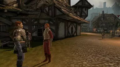 Nobles, city guard, and hooded courier