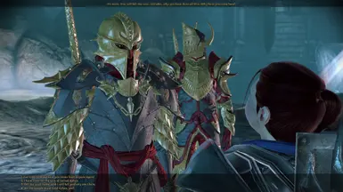 Kolgrim's unique armor