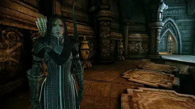 Leliana's unique armor