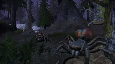 Spiders new tints