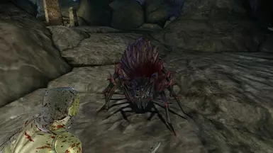 DAI Fear Spider