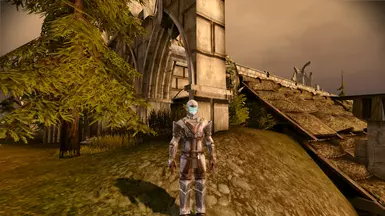 Blood Dragon Armor set replaced by Ser Isaac