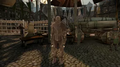 Bodyguards armor