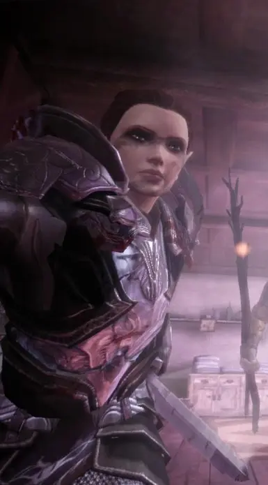 Dragon Age: Origins - Image #993