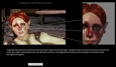 Dragon Age Redesigned, A Closer Look, Installation and Simple Tips 