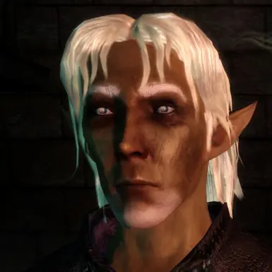 Fascinating Faces at Dragon Age: Origins - mods and community