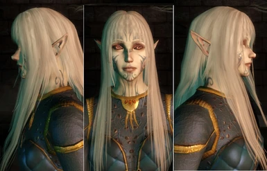 dragon age origins female elf