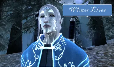 Winter Elves