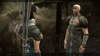 Didier the Dalish Mage