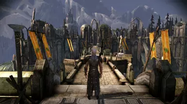 Didier the Dalish Mage