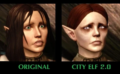dragon age wiki city elf
