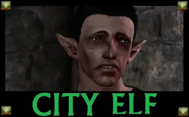 City Elf Origin, Dragon Age Wiki