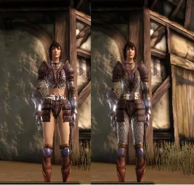 Lady of the forest Mesh replacer at Dragon Age: Origins - mods and community