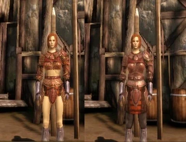 female heavy armors--main file version
