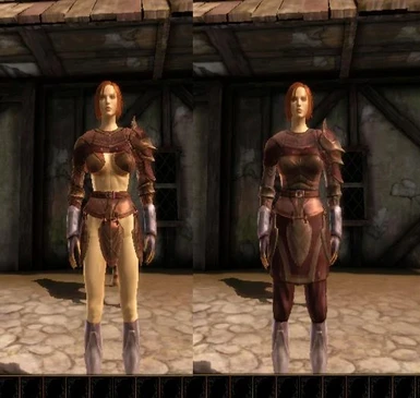 female heavy armors--optional file version