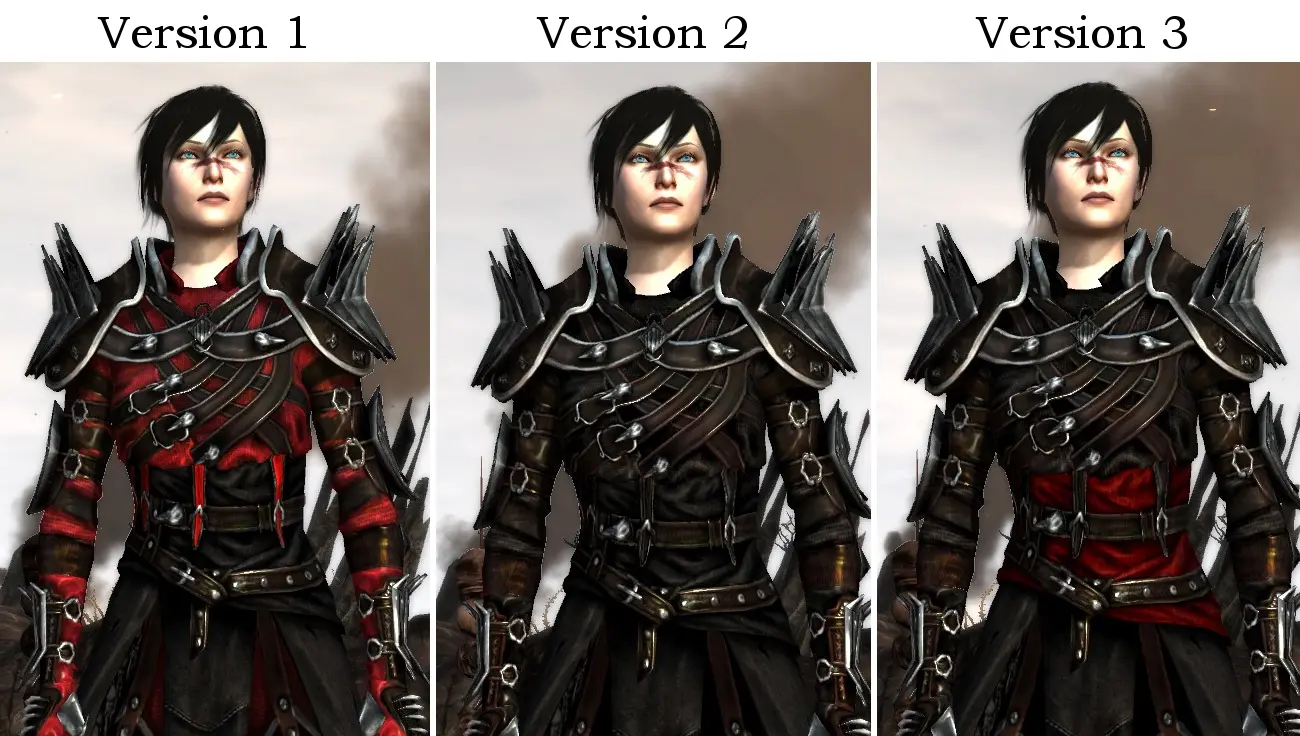 The Rogue Champion s Armor at Dragon Age 2 Nexus - mods and community