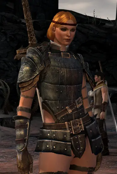 Sexy Fereldan Field Armor at Dragon Age 2 Nexus - mods and community