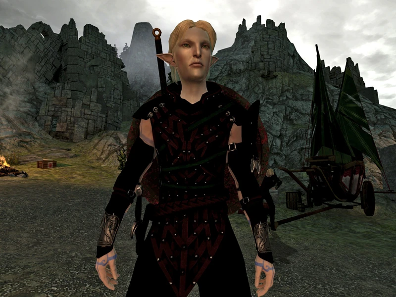 dragon age elf update