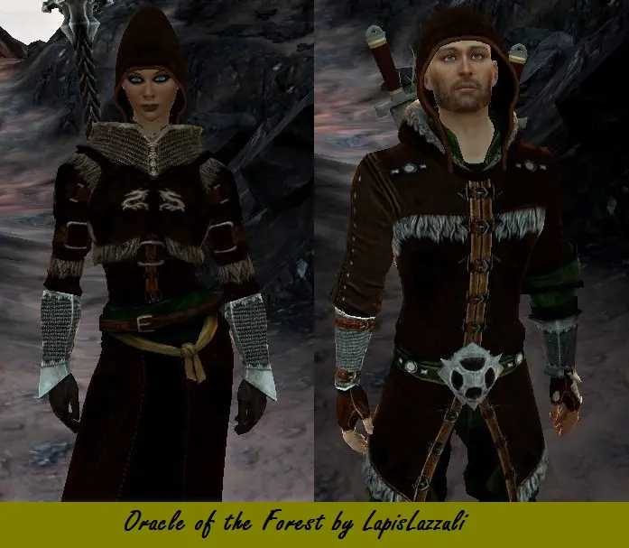 RLs Closet at Dragon Age 2 Nexus - mods and community