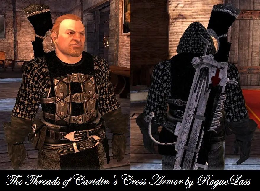 RLs Companion Closet at Dragon Age 2 Nexus - mods and community