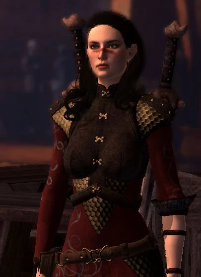 Armour of the Skilled Archer at Dragon Age 2 Nexus - mods and community