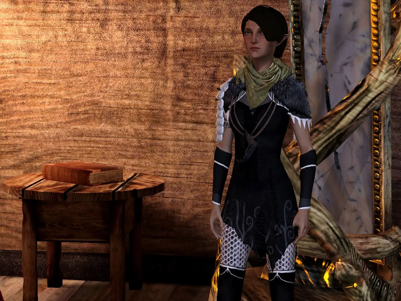 Misc Companion Armor Mods At Dragon Age Nexus Mods And Community