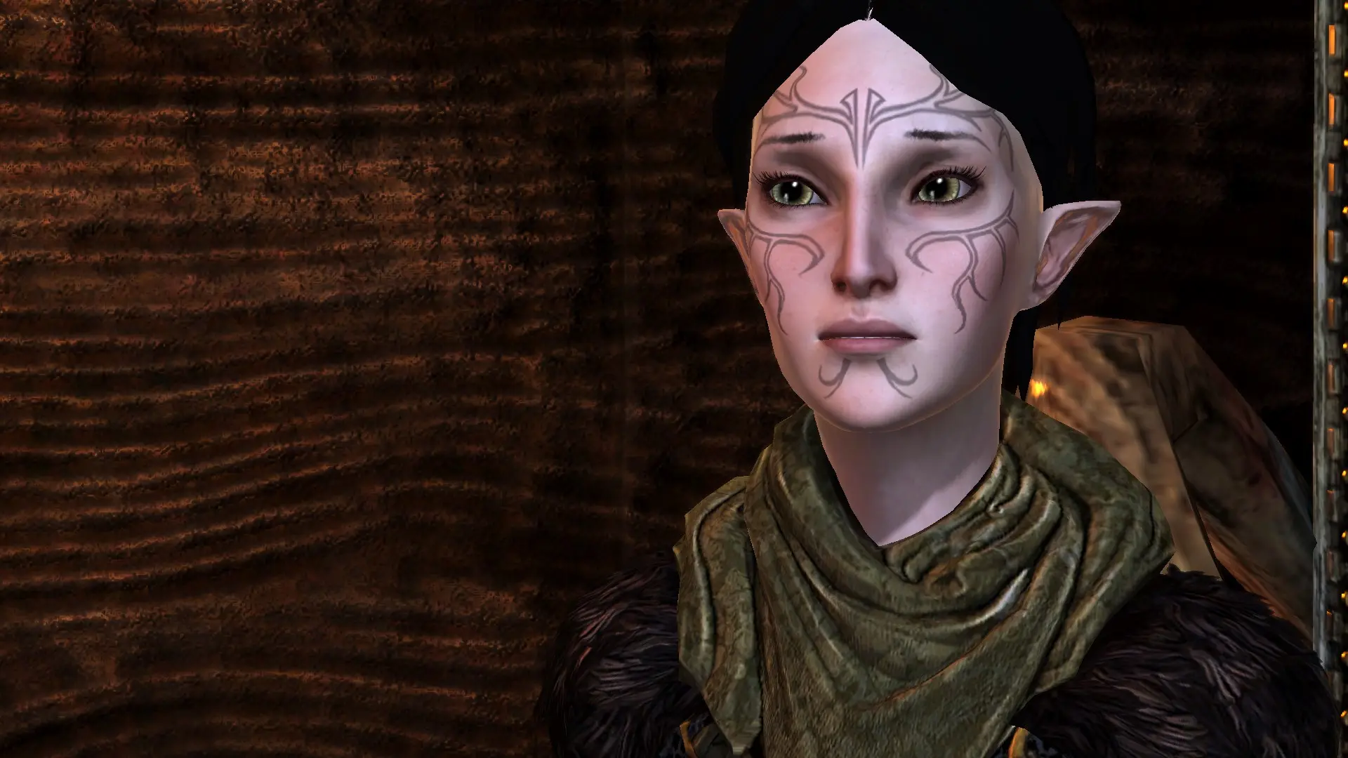 Merrill the Witch at Dragon Age 2 Nexus - mods and community