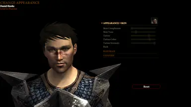 Dragon Age 2 Nexus Mods And Community