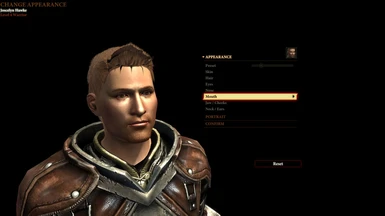 dragon age 2 character build