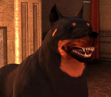 Dog as a Rottweiler v2 01