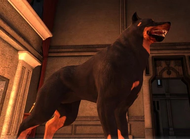 Dog as a Rottweiler v2 02