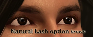 Natural Lashes in Brown