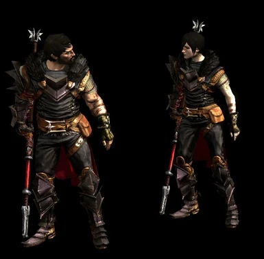 Champion Mage Retexture and Specular Map at Dragon Age 2 Nexus - mods and