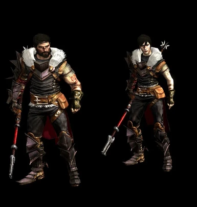 mandat Stadion hellig Champion Mage Armor Fur Retexture and Specular Map Fix at Dragon Age 2  Nexus - mods and community