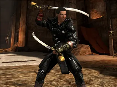 Dual weapon stance
