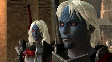 Dark Elf Fenris