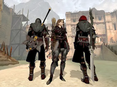 Dalls_Real_Champion at Dragon Age 2 Nexus - mods and community