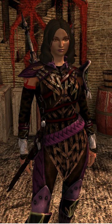 Athenril Armor Recolors at Dragon Age 2 Nexus - mods and community
