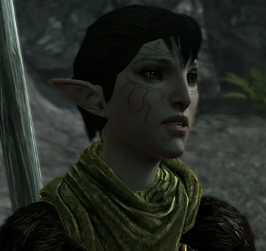 Merrill CharGenMorph Compiler dragon age 2