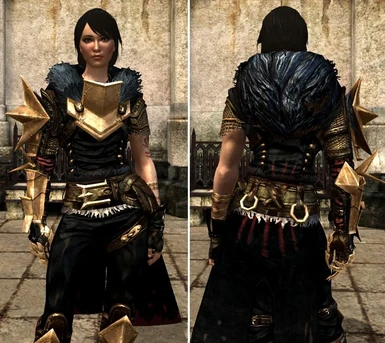 The Mage Champion s Armor at Dragon Age 2 Nexus - mods and community
