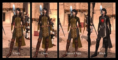 A Female Mage Champion Armour Replacement