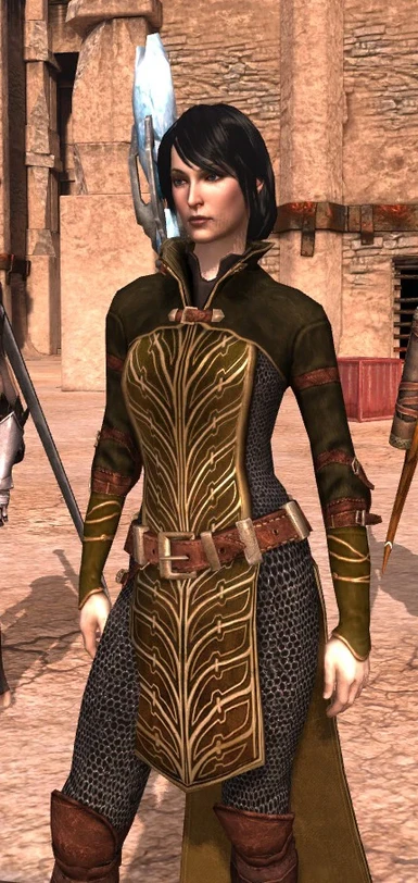 A Female Mage Champion Armour Replacement at Dragon Age 2 Nexus - mods ...